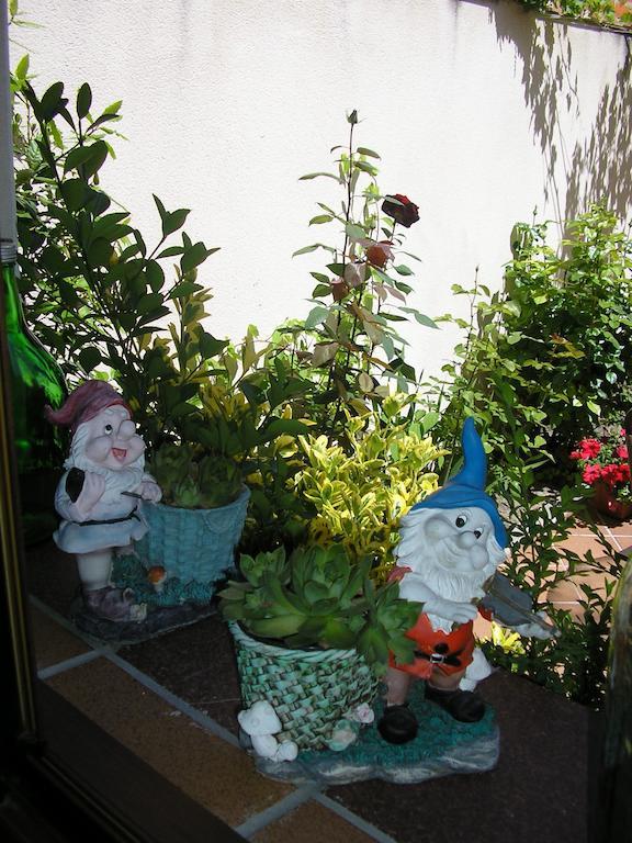 Casa De La Paca Bed & Breakfast โกกา ห้อง รูปภาพ